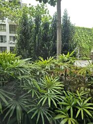 Reflections At Keppel Bay (D4), Condominium #632565511